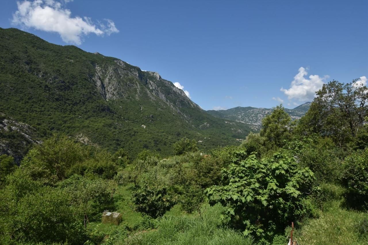 Гостевой дом Rooms Sveti Toma Вирпазар-30